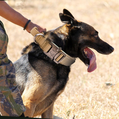 Collar Táctico Resistente de Nylon para Perros Medianos y Grandes Ajustable para Exterior - Image 14