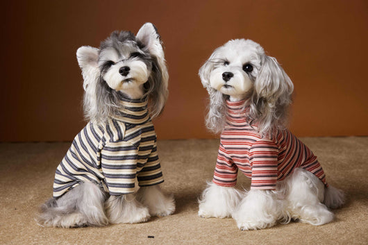 Camiseta Interior Ajustada para Perros Maltés y Schnauzer - Tejido Hipoalergénico - Image 15