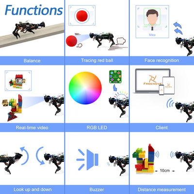 Perro Robot Raspberry Pi con Reconocimiento Facial - Image 10