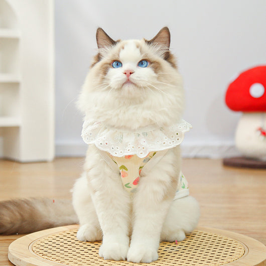 Suéter Transpirable de Algodón Puro para Perros y Gatos Grandes - Image 17