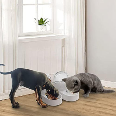 Comedero y Bebedero Automático para Gatos con Dispensador de Gravedad 2L - Image 9