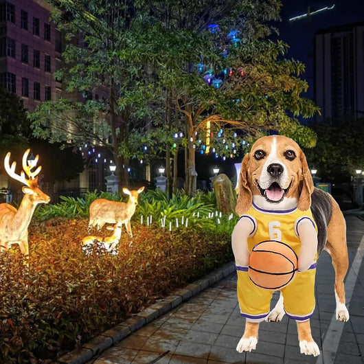Disfraz de Jugador de Baloncesto para Perros - Outfit Deportivo Divertido - Image 19