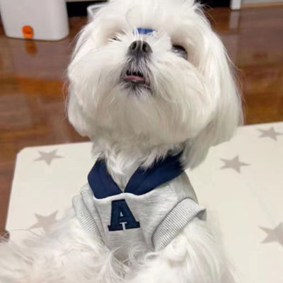Suéter Reflectante Ajustado para Perros y Gatos - Diseño Azul y Blanco - Image 10