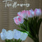 White Tulip 5 Flowers 1 Bundle