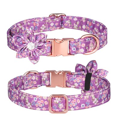Juego de Collar y Correa Personalizado para Mascotas - Image 63