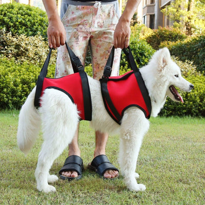 Arnés de Apoyo para Perros Lesionados con Soporte de Hombro - Image 12
