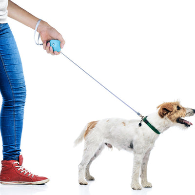 Correa Retráctil Automática para Perros Pequeños - Cinta Plana de Nylon - Image 15