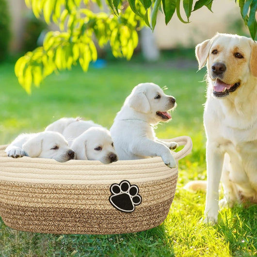 Canasta Tejida de Algodón Beige con Asa - Organizador Versátil para el Hogar - Image 26