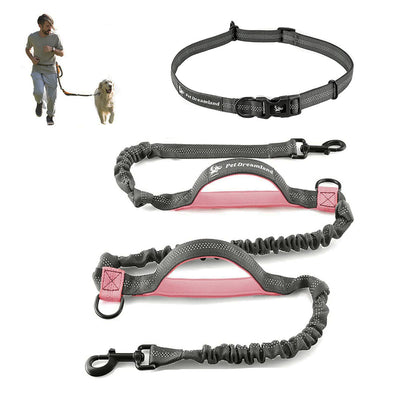 Correa Extensible para Pasear Mascotas - Portátil y Segura - Image 2