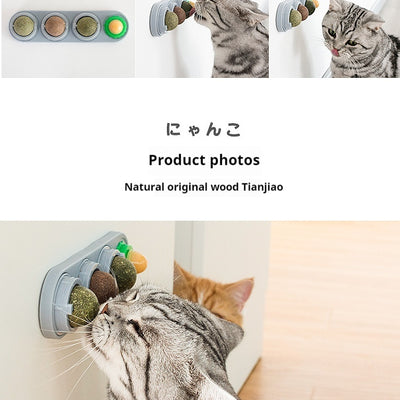 Snacks Masticables para Gatos - Limpieza Dental de Larga Duración - Image 13