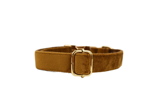 Collar de Perro Terciopelo Suave - Image 8