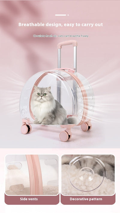 Mochila Transportadora Transparente para Gatos y Mascotas Pequeñas - Image 12