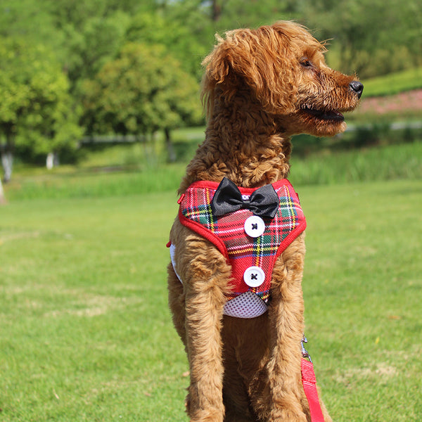 Vestido de Gala para Perro Pequeño Estilo Chaleco Teddy con Lazo