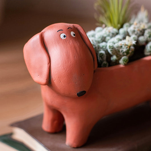 Maceta Decorativa con Diseño de Mascotas y Animales Adorables - Image 7