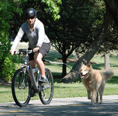 Correa de Sujeción para Bicicleta con Manija de Control para Mascotas - Image 13