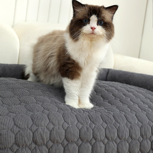 Cama Nido Calmante para Mascotas con Almohada Cervical y Manta Acolchada - Image 20