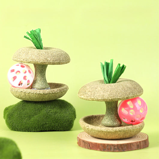 Juguete de Hierba Gatera Comestible con Campana - Juego Interactivo para Gatos - Image 6