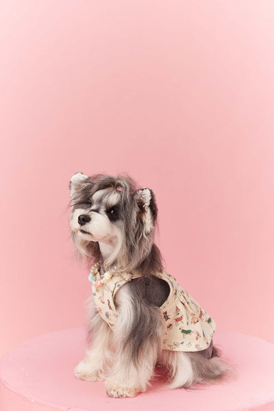 Falda Denim con Tirantes para Perros Pequeños Schnauzer y Maltés - Image 52