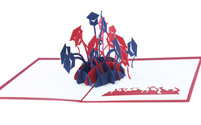 Tarjeta de Felicitación 3D Desplegable para Graduación - Image 7