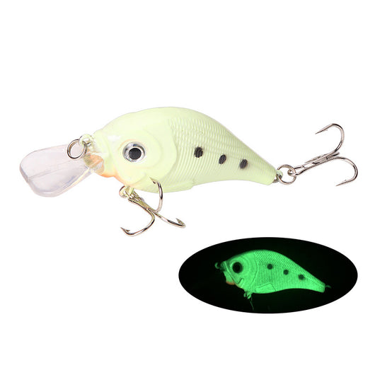 Carnada Luminosa para Pesca Nocturna de Lubina con Luz LED - Image 7