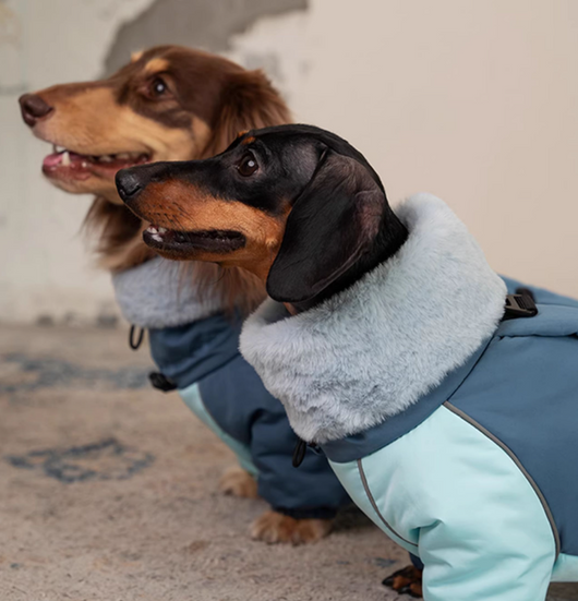 Abrigo Acolchado Térmico para Perros Salchicha - Invierno y Otoño - Image 10