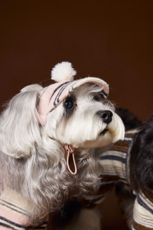 Suéter Térmico de Rayas para Perros Pequeños - Schnauzer, Bichón y Maltés - Image 7