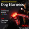 Chaleco LED Reflectante para Pasear Perros de Noche