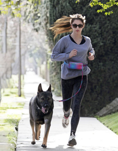 Correa para Perro Manos Libres - Cinturón Ajustable para Caminar, Trotar y Correr - Image 16