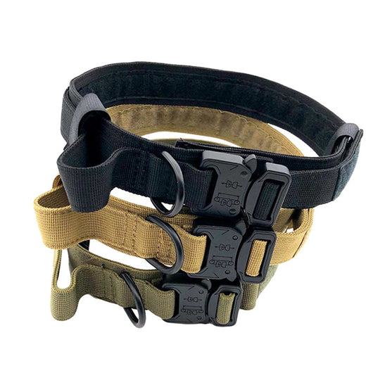 Collar de Tracción Canino Reforzado en Nylon - Image 7