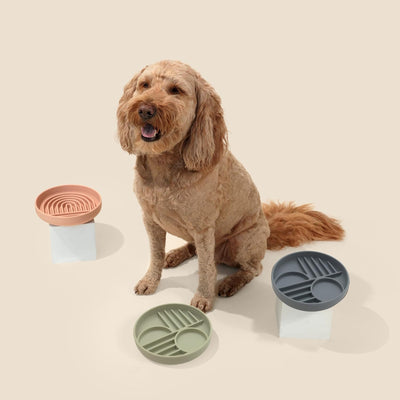 Comedero Lento de Silicona para Perros - Diseño Moderno Anti-Gulping - Image 8