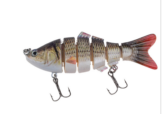 Peces Carnada Premium - Image 39