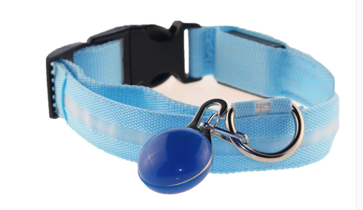 Collar Luminoso para Perros Fashion - Seguridad y Estilo - Image 20