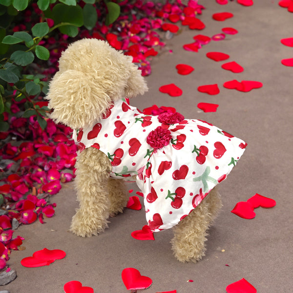 Falda Estampada con Perros y Gatos - Diseño Adorable para Mascotas