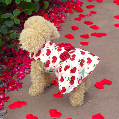 Falda Estampada con Perros y Gatos - Diseño Adorable para Mascotas