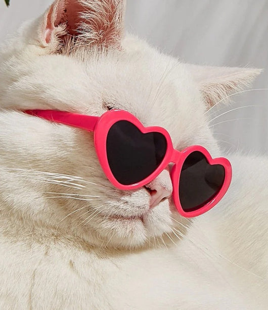 Gafas de Sol para Mascotas y Muñecas - Accesorios Divertidos - Image 6