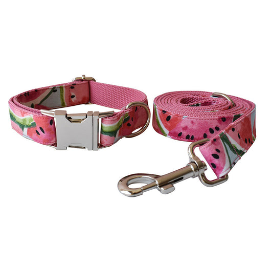 Collar y Correa para Perros - Control Seguro y Cómodo - Image 3