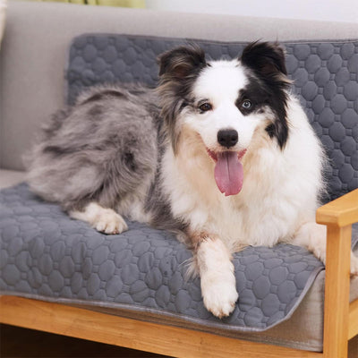 Pañales Lavables para Perros - Almohadillas Reutilizables Impermeables - Image 21
