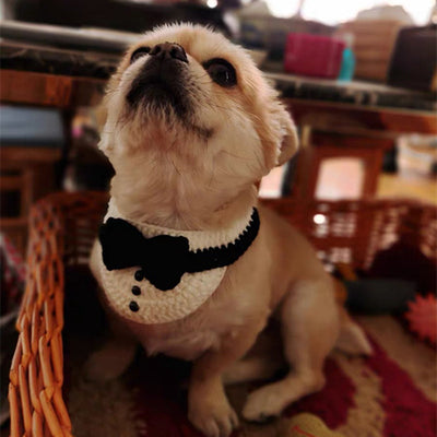 Cuello Tejido para Gato con Sombrero de Mago y Corbata de Caballero - Image 5
