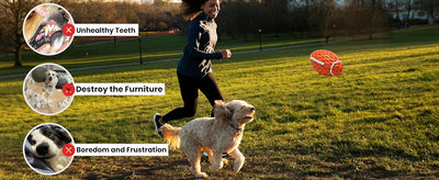 Juguete de Rugby Resistente para Perros Grandes - Diseño Duradero con Sonido Chirriante - Image 20