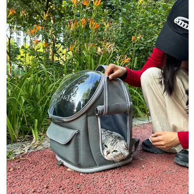 Bolsa de Transporte para Mascotas Grande con Correa - Resistente a Arañazos y Plegable - Image 3