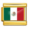 Dorado Background World Flag Photo Epoxy Italian Module Bracelet ICY0001MX Mexico