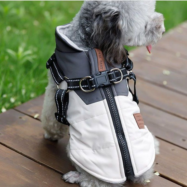 Chaleco de Invierno con Arnés de Remolque para Perros