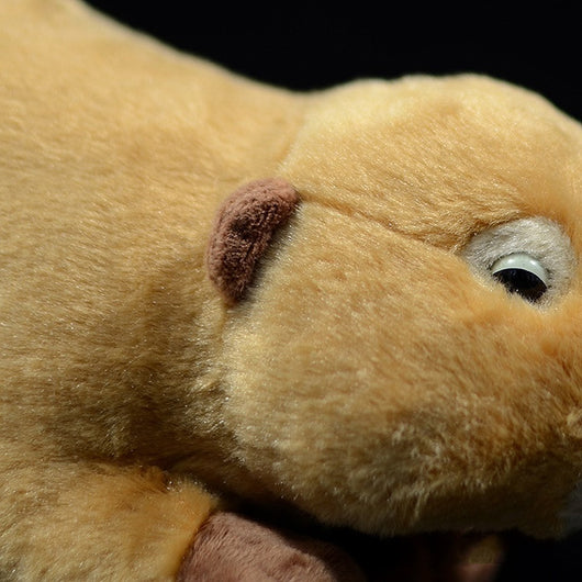 Peluche Adorable de Castor Simulado - Juguete Suave y Tierno - Image 11