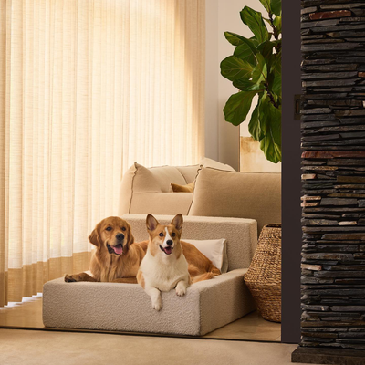 Cama Ortopédica Móvil para Perros y Gatos con Respaldo - Image 20