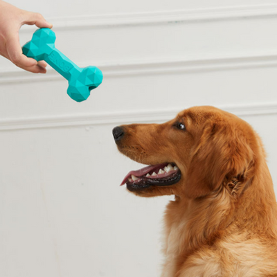 Juguete Hueso de Goma Resistente para Masticar - Limpieza Dental Canina