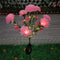 Clavel Rosa