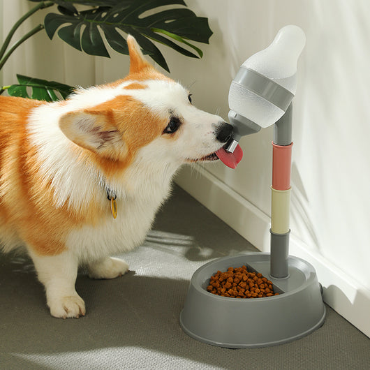 Comedero y Bebedero Elevado para Perros y Gatos con Bola Interactiva - Image 16