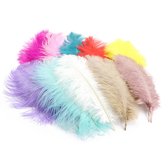 Cinturón Tejido de Color Sólido con Encaje de Plumas de Avestruz - Image 61