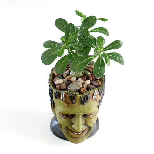 Maceta Decorativa Personalizada Frankenstein - Contenedor de Resina para Escritorio - Image 2
