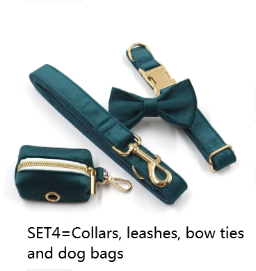 Collar y Correa para Mascotas Terciopelo Verde Esmeralda con Herrajes Dorados - Image 6